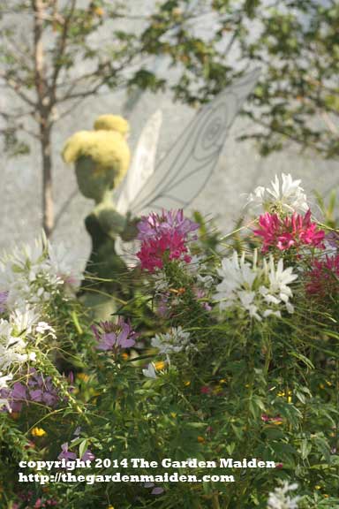 Tinkerbell topiary. Epcot's International Flower and Garden Festival, 2014. May.  Image by The Garden Maiden, copyright 2014.