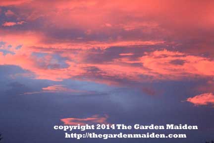 Sunset.  TheGardenMaiden_copyright2014