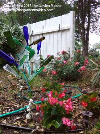 TheGardenMaiden_copyright_2017_IMG_20170416_124211