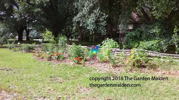 TheGardenMaiden_copyright2018_IMG_20180522_161654_web