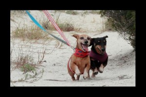 232323232-fp83232-uqcshlukaxroqdfv365;2-nu=3633-743-2;;-27247433--256ot1lsi