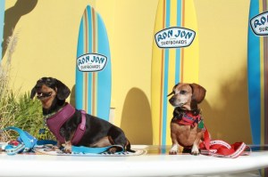 232323232-fp83232-uqcshlukaxroqdfv39-39-nu=3777-384-256-WSNRCG=3584---485347nu0mrj