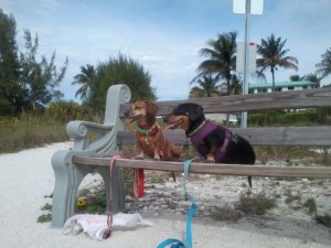 232323232-fp83232-uqcshlukaxroqdfv397-=ot-2868=475=347=XROQDF-25;6298759256ot1lsi